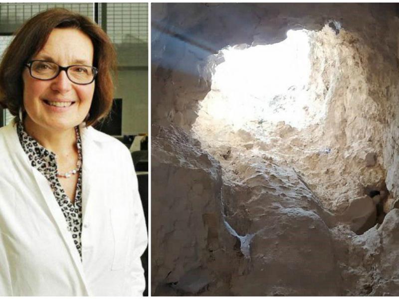 βιολογος δολοφονια