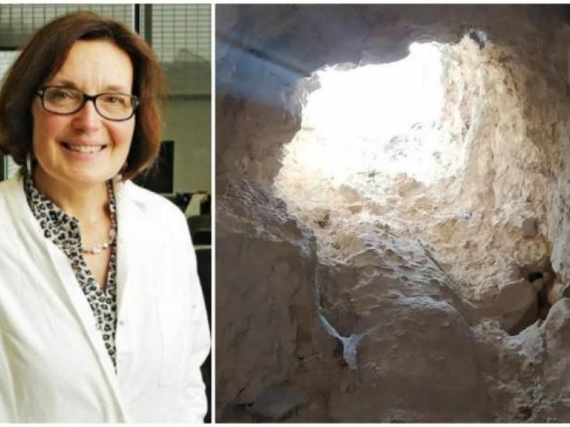 βιολογος χανια