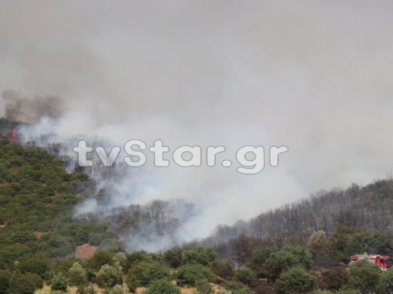 φωτια κεντρικη