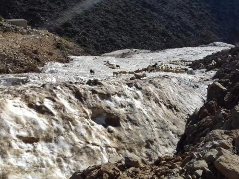 Αιγοπρόβατα στα Λευκά Όρη