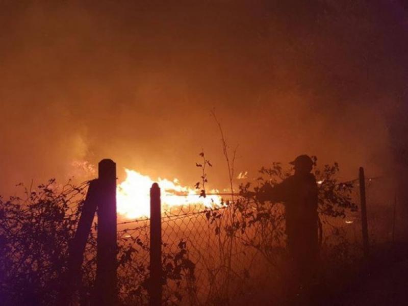 πυρκαγιά σε δασική έκταση στην Αγ. Παρασκευή στη Χαλκιδική