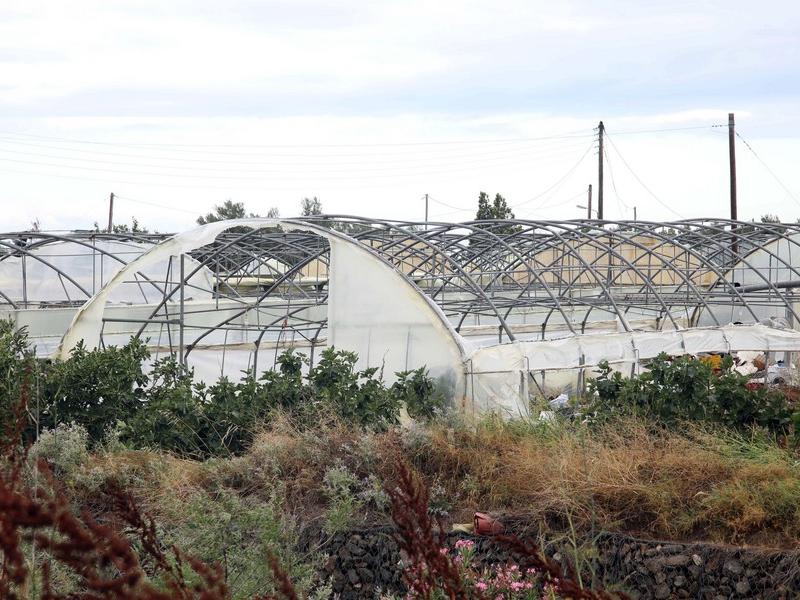 Θερμοκήπια Χαλκιδική