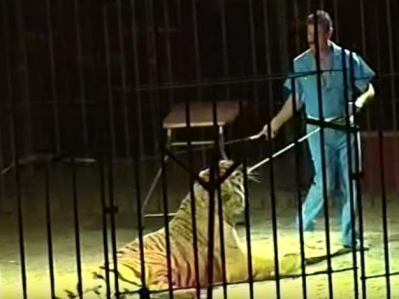 Θηριοδαμαστής