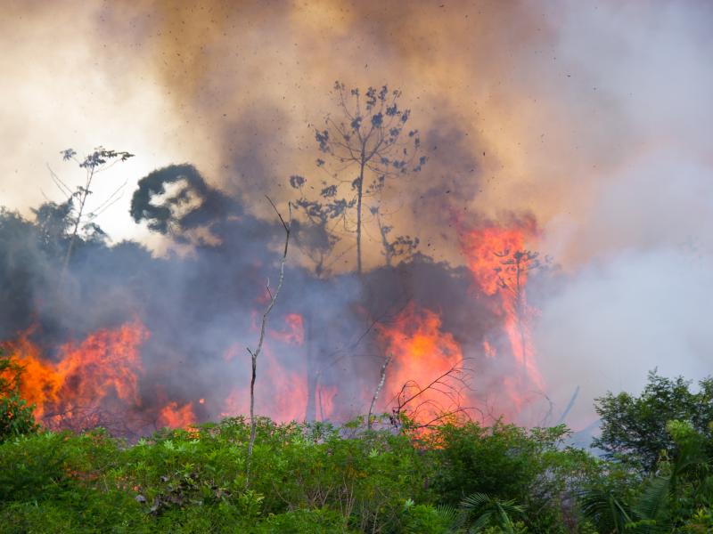 amazonia fire brazil