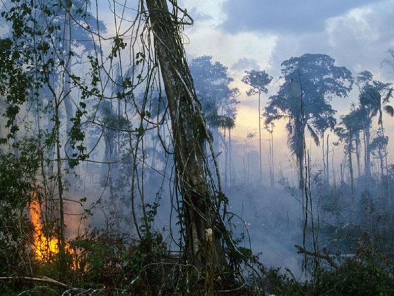 Φωτιά στον Αμαζόνιο