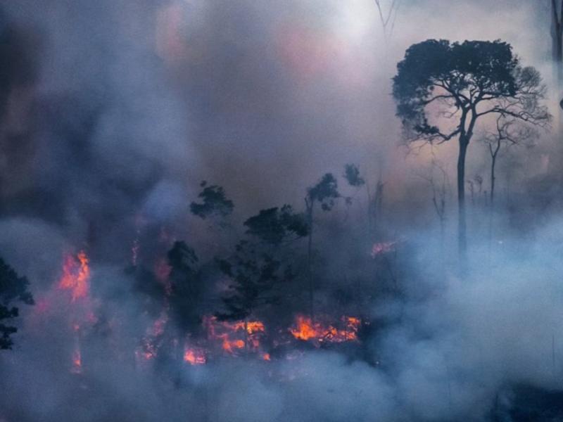 bolsonaro amazonia foties