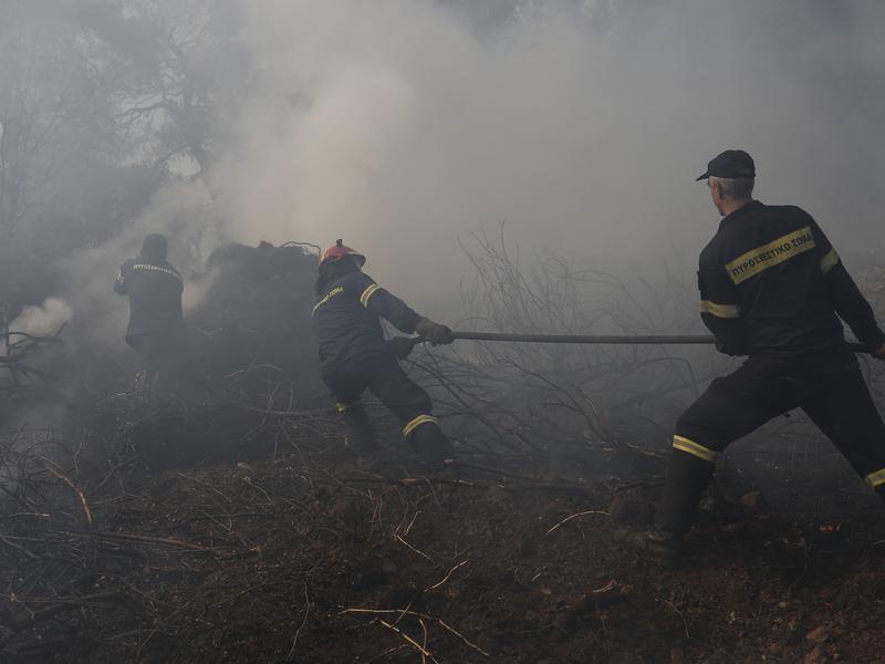 fotia evia anazopyrosi