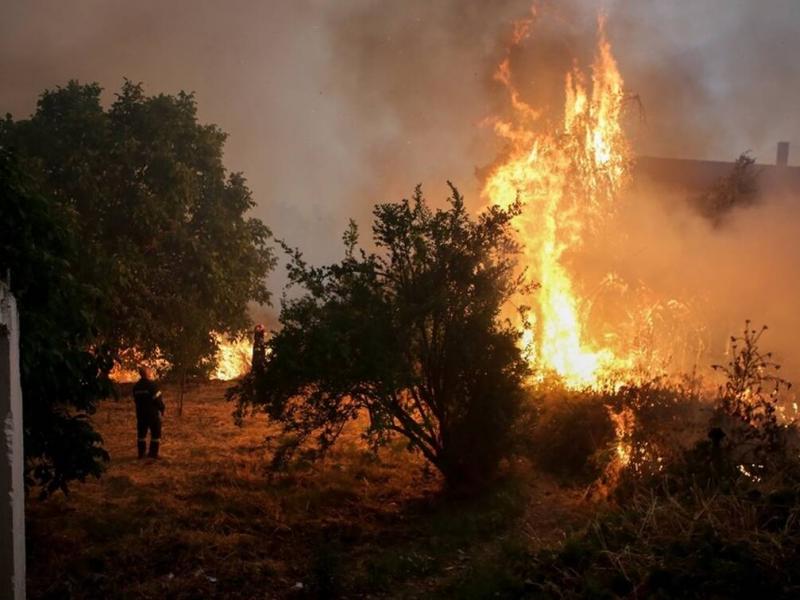 INTIME NEWS fotia evia