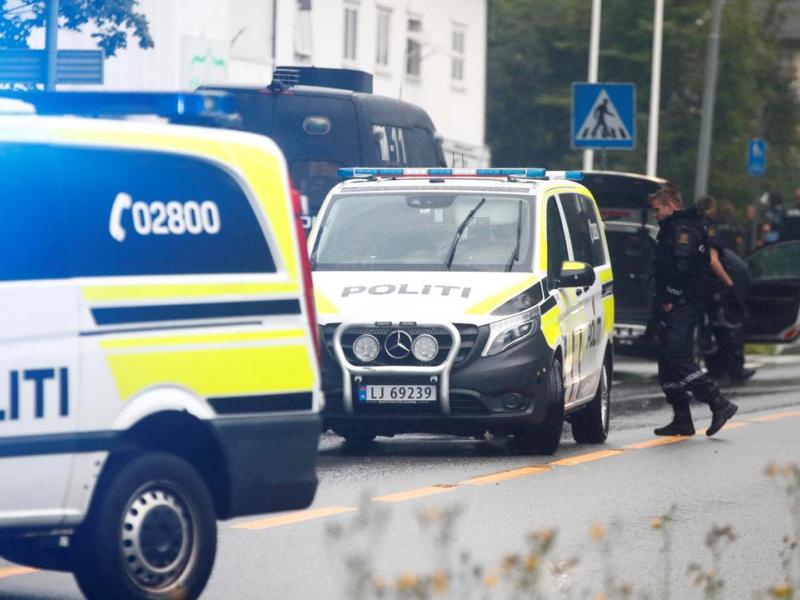 norvigia epithesi akrodeksios