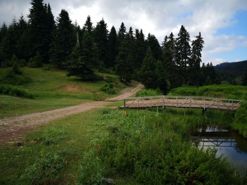 Περτουλιώτικα Λιβάδια