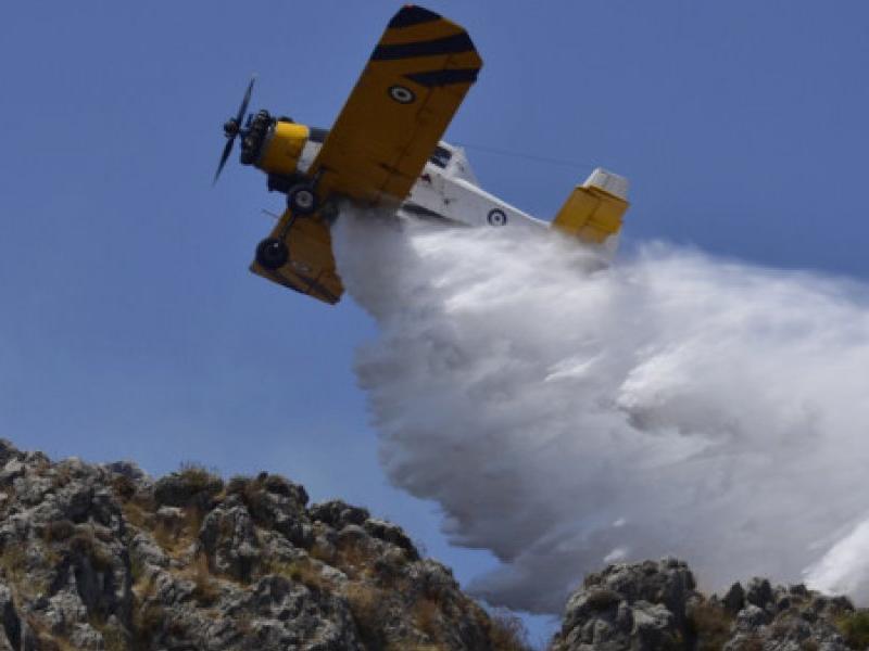 petzetel pzl aeroplano