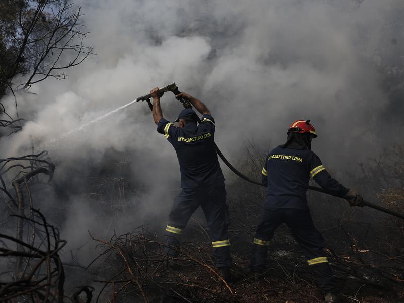 pyrosvestes fotia evia