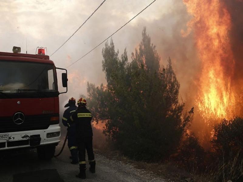 Σε εξέλιξη πυρκαγιά στην περιοχή των Φαρσάλων