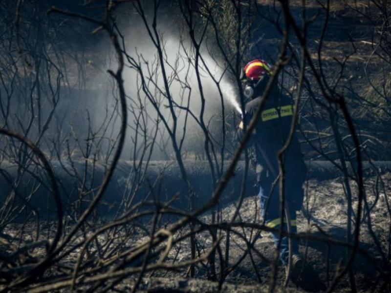 Σε ύφεση η πυρκαγιά φωτιά στον Μαραθώνα