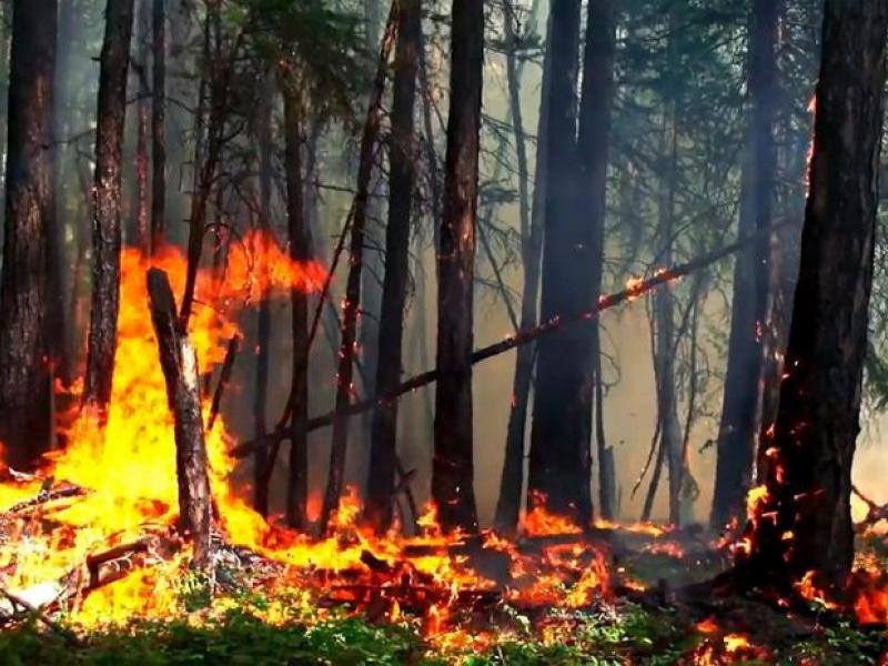 Πυρκαγιά στη Σιβηρία