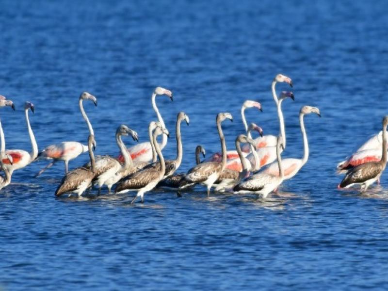 Τα νερά της Μεσογείου ενδέχεται να ανέβουν κατά 20 εκ. το 2050