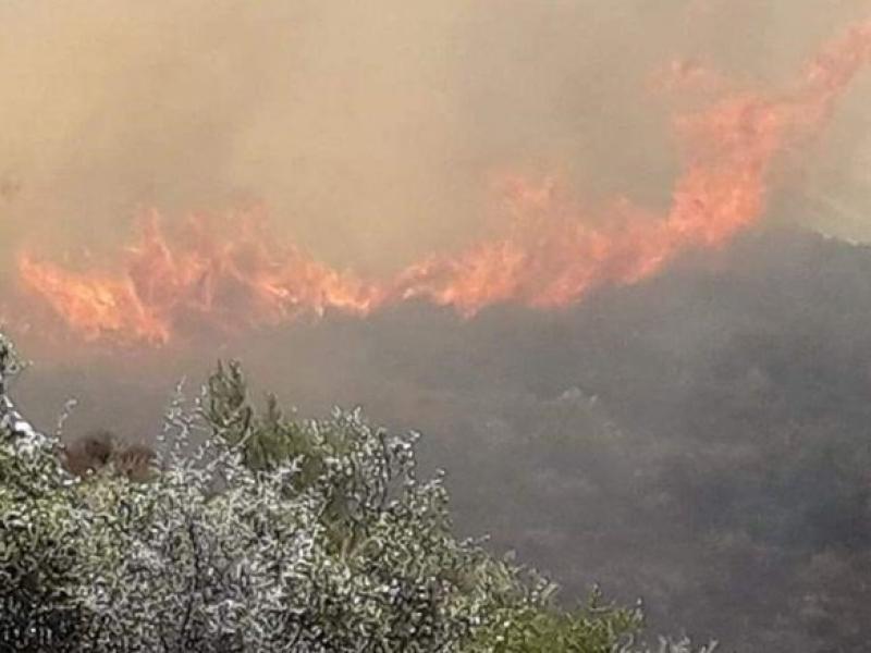 fotia xwrio zakynthos