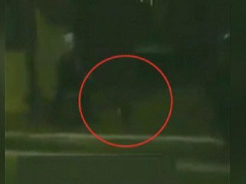 klvtsia gataki sminites