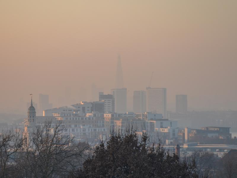 molynsi perivallontos