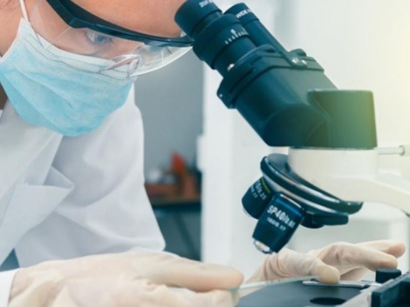 έρευνα μικροσκόπιο