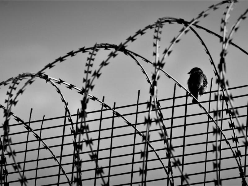 Διευθύντρια του Ειδικού Κέντρου Υγείας Κρατουμένων Κορυδαλλού: Δεν κλείνει το σχολείο στο Νοσοκομείο των φυλακών 