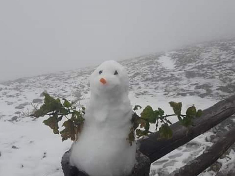 protos xionanthropos