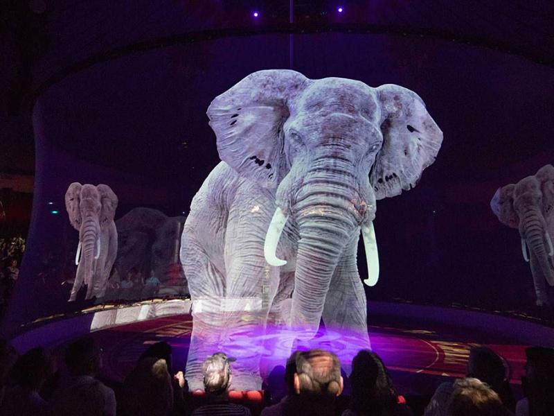 circus_ologramm_doctvgr_01.jpg