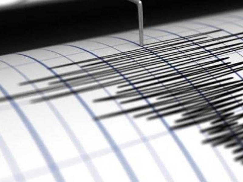 seismografos_intro3.jpg