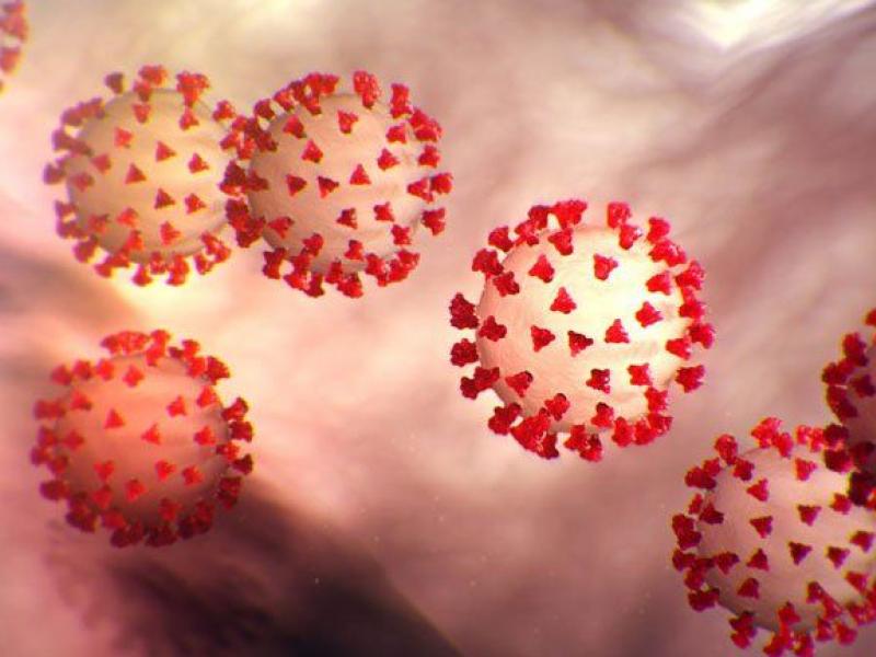 Κορονοϊός