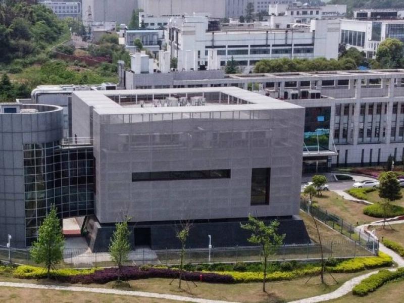 Ινστιτούτο Ιολογίας