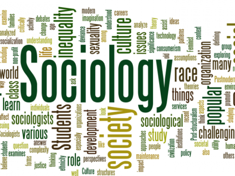 sociology-1-e1542303251234.png