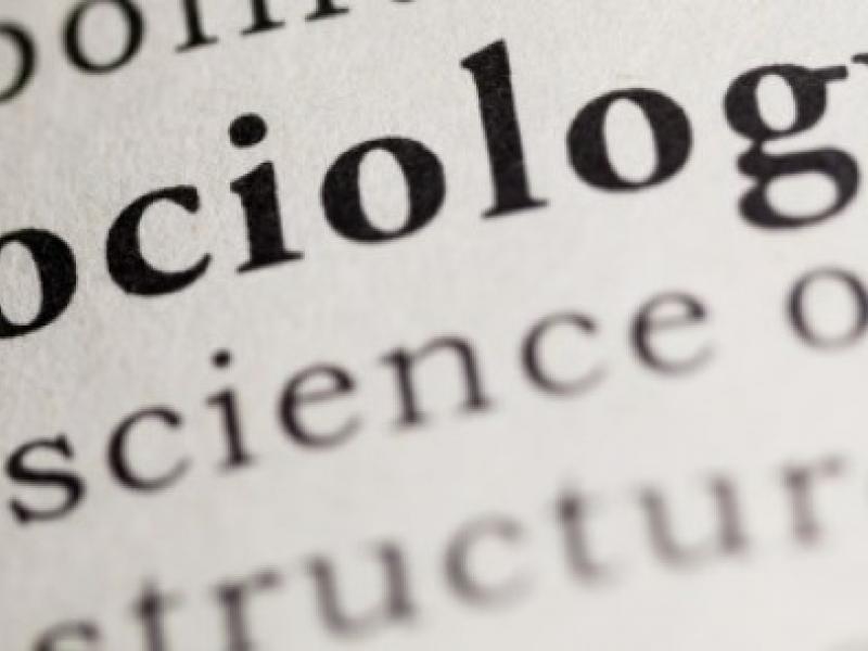 sociology-4.jpg