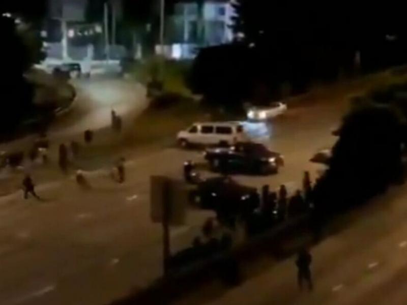 diadilotria nekri ipa