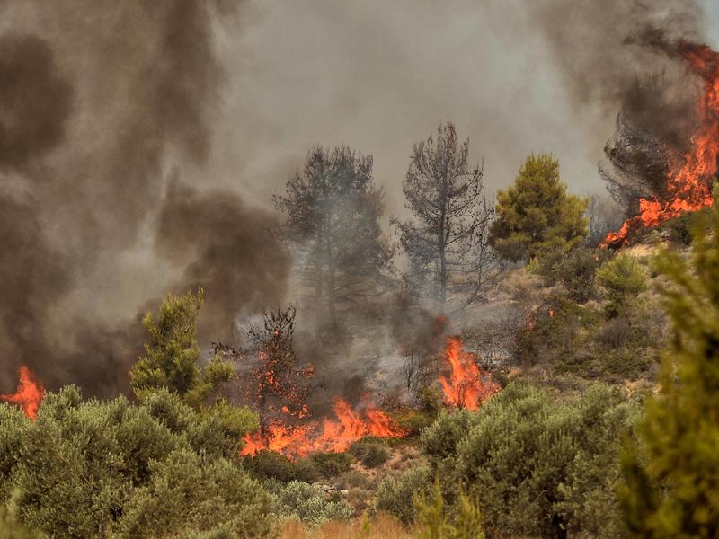 fotia kexries athikia