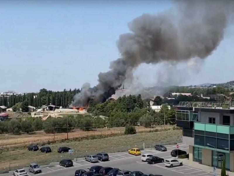 amerikaniki georgiki sxoli