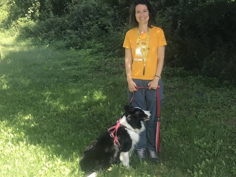 arktouros poimenikoi