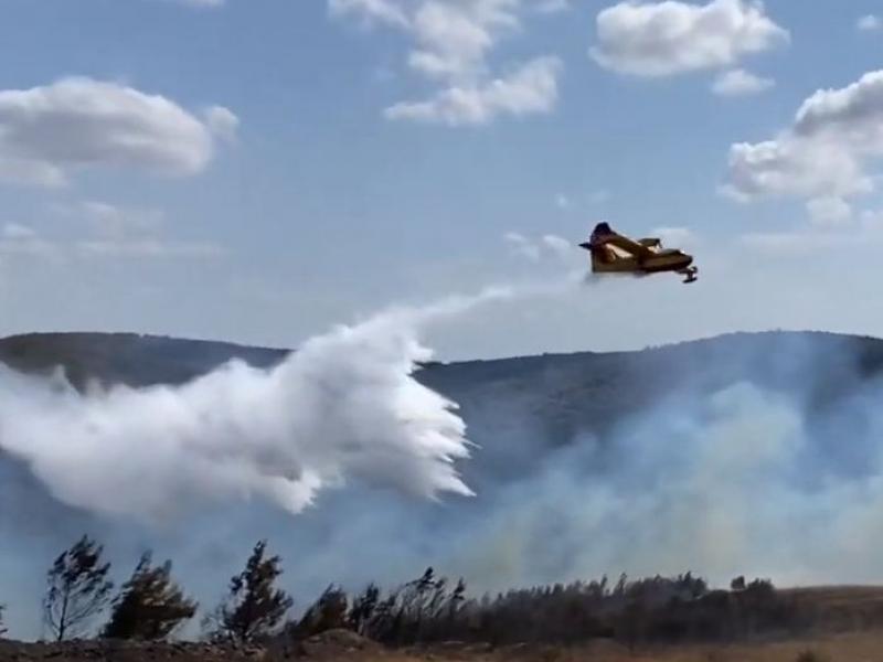 fotia alexandroupoli