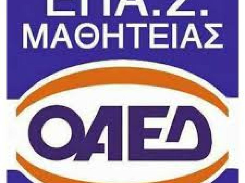 Επαγγελματική εκπαίδευση: Υποβάθμιση των ΕΠΑΣ του ΟΑΕΔ βλέπουν οι συμβασιούχοι εκπαιδευτικοί 