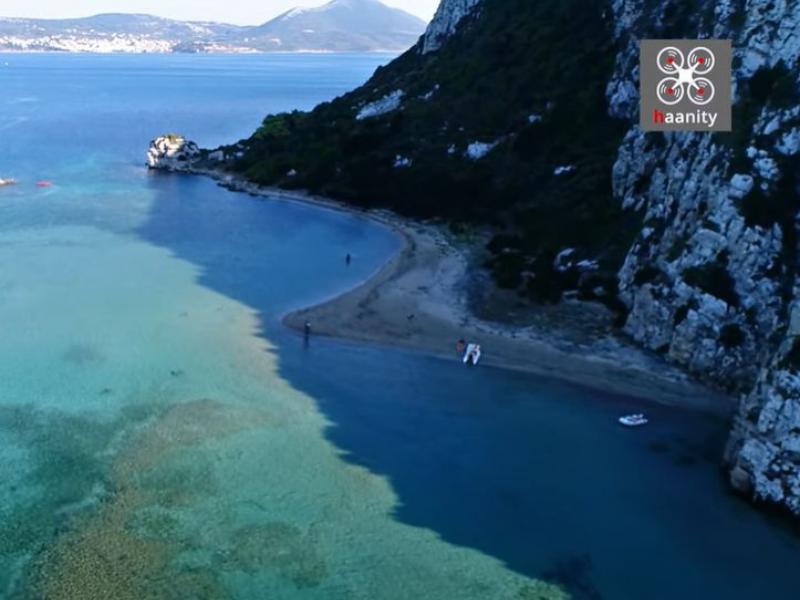 paralia aspida vrasida