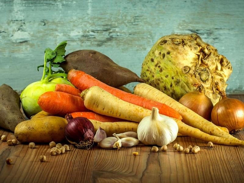 Έρευνα ΑΠΘ: Τα «πεταμένα» τρόφιμα των ελληνικών νοικοκυριών