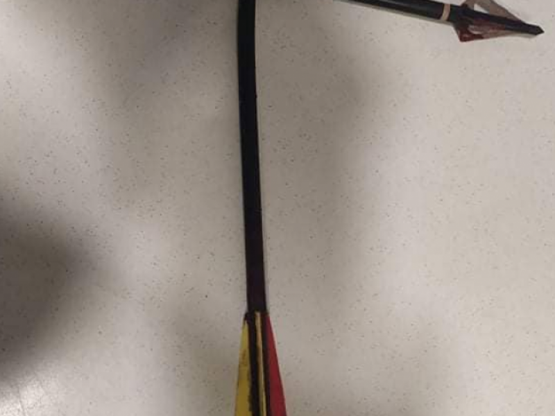 βελος πετρούπολη