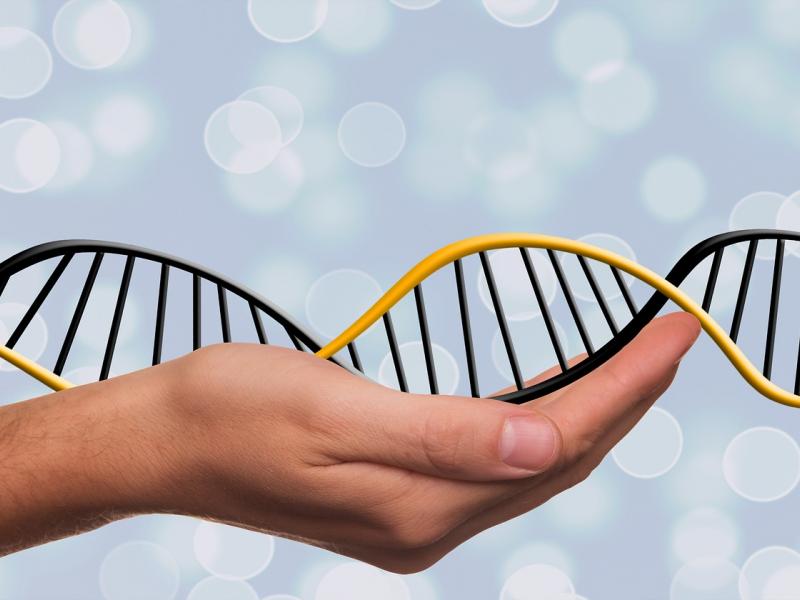 biologia_dna_panellinies2021.jpg