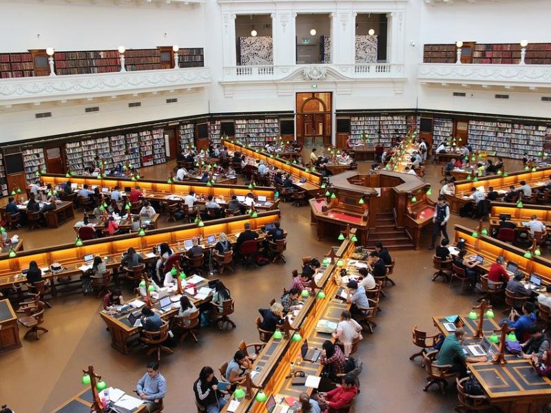library-study_abroad_praktiki.jpg