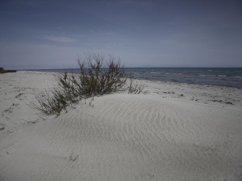 alikes kitrous kentriki