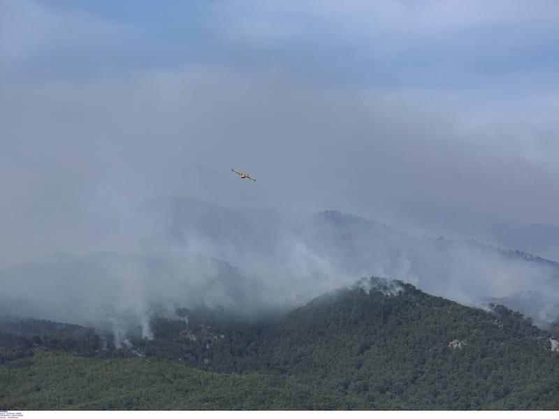 Φωτιά στο Αλεποχώρι