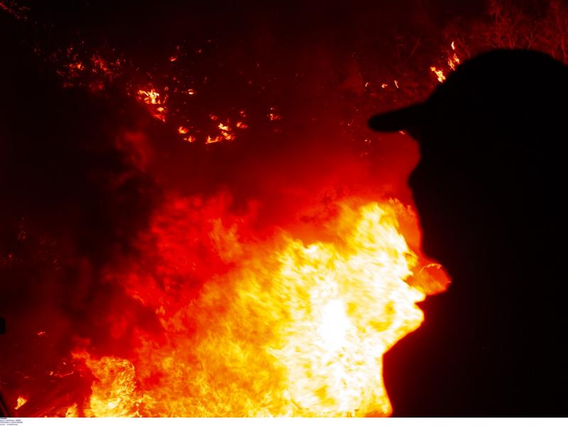 Φωτιά στον Σχίνο Κορινθίας