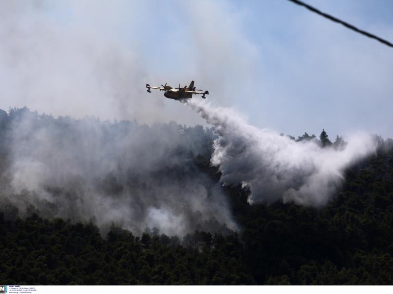 fotia pyrkagia canadair