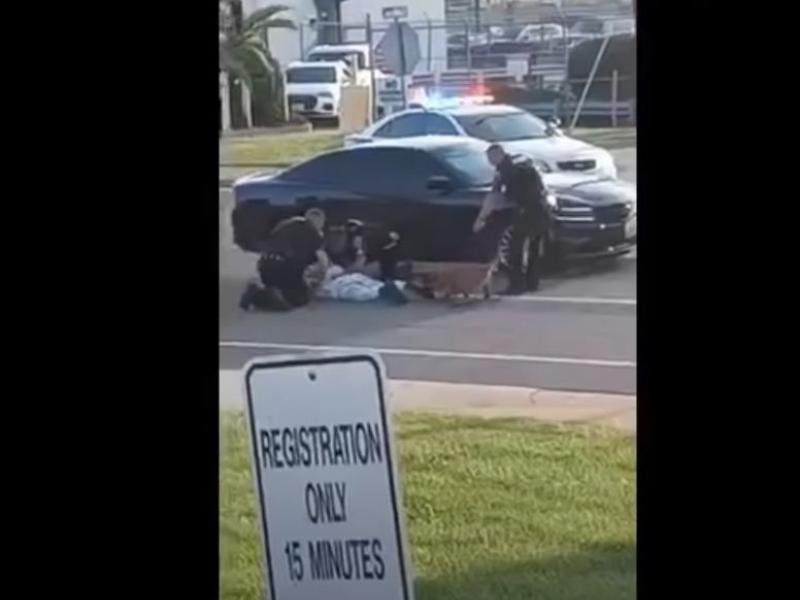 astynomikoi skylos mavros ipa