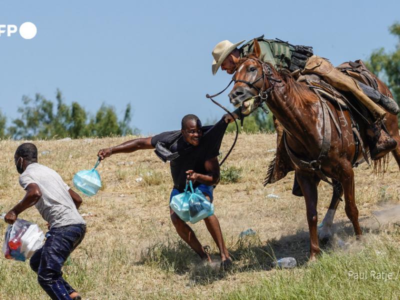 metanastes synora ipa laso mastigia