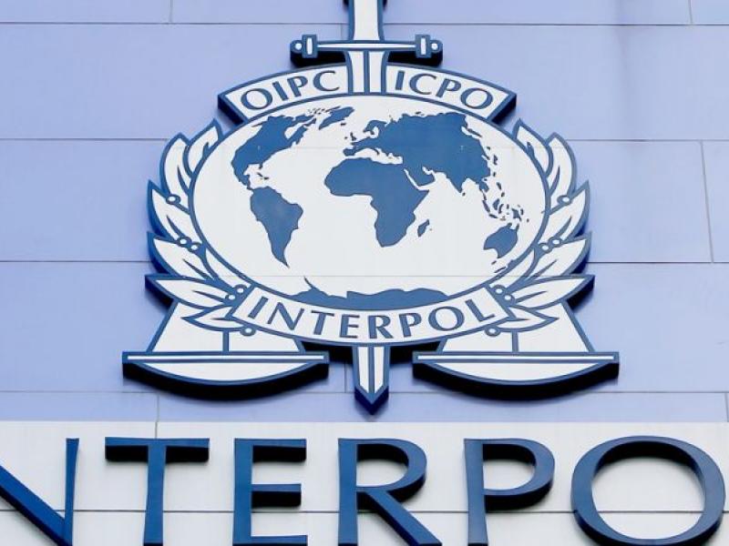 interpol.jpg